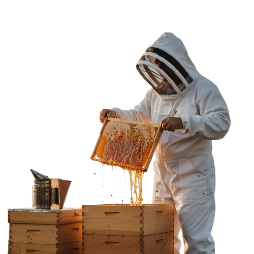 Honey jars and dipper